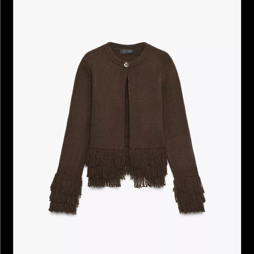 Zara Chocolate Fringe Sweater